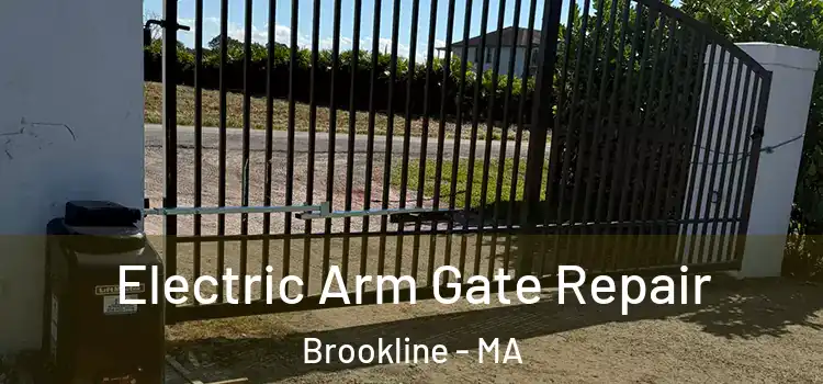 Electric Arm Gate Repair Brookline - MA