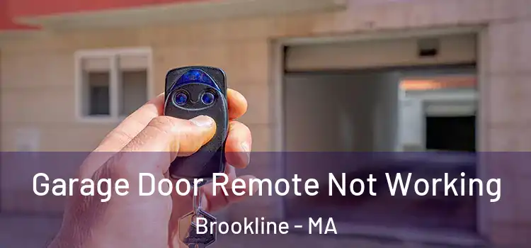  Garage Door Remote Not Working Brookline - MA