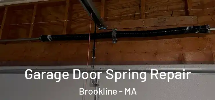  Garage Door Spring Repair Brookline - MA