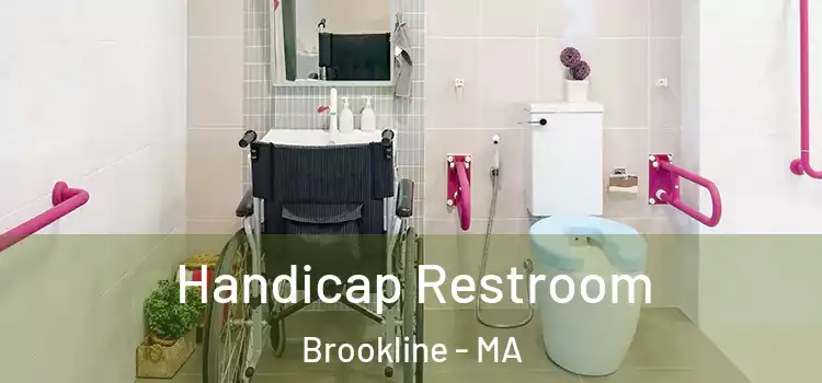 Handicap Restroom Brookline - MA