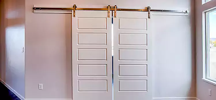 Glass Barn Door with Installation Hardware Kit Brookline