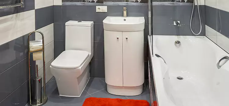 Hansgrohe Shaving Mirror Brookline