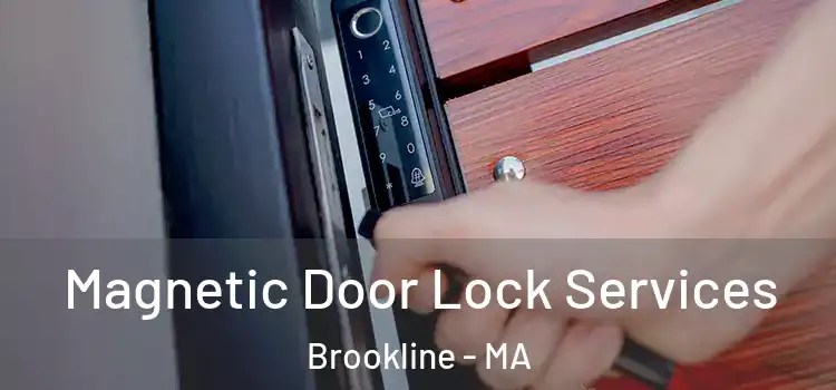 Magnetic Door Lock Services Brookline - MA