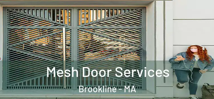 Mesh Door Services Brookline - MA