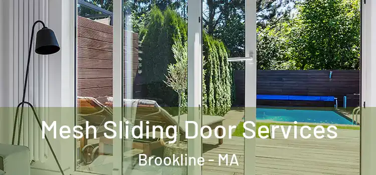 Mesh Sliding Door Services Brookline - MA