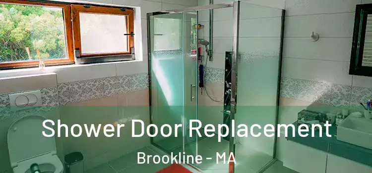 Shower Door Replacement Brookline - MA