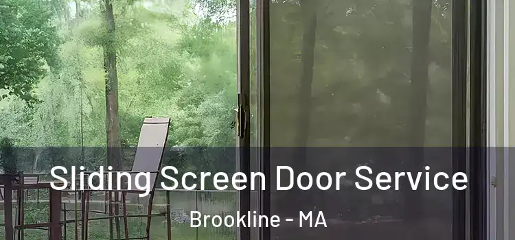  Sliding Screen Door Service Brookline - MA